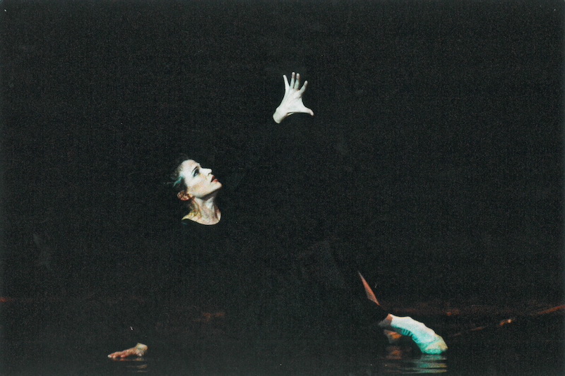 Altum, obnova 2004, Dijana Kozarski, foto M. Polzovic.jpg