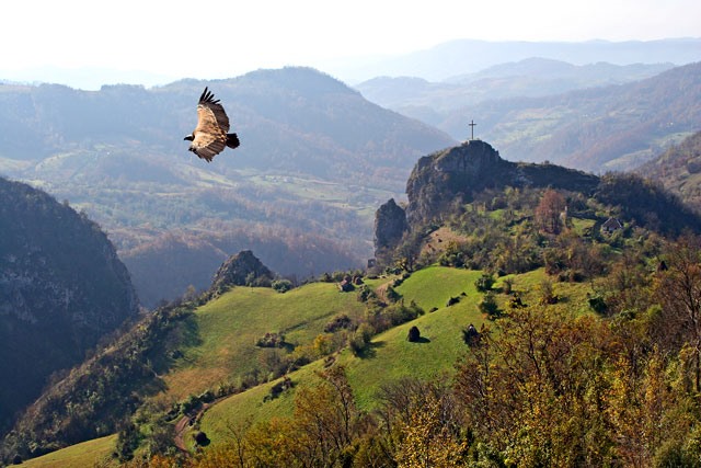 soko-planina-2001.jpeg