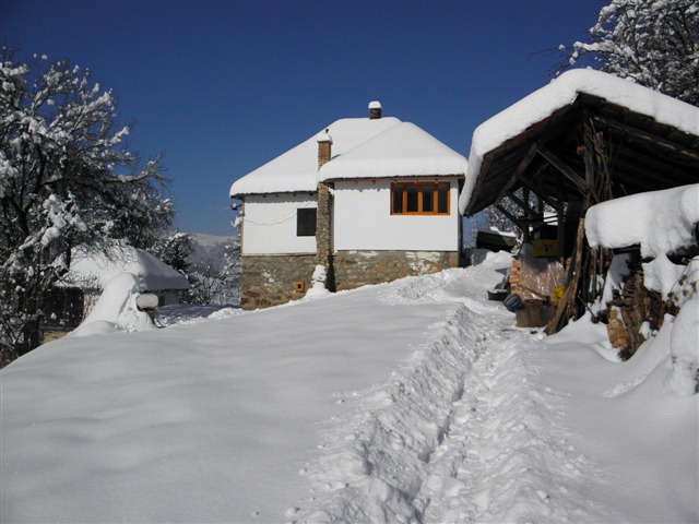 sel1201311232056.jpeg