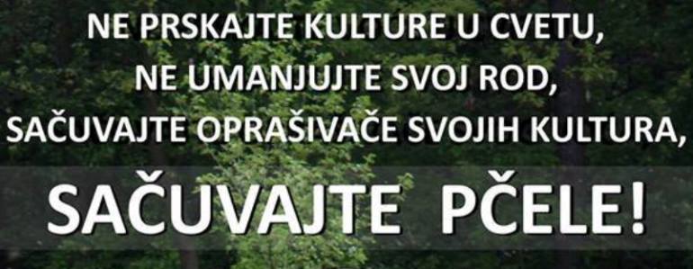 pcele.jpg