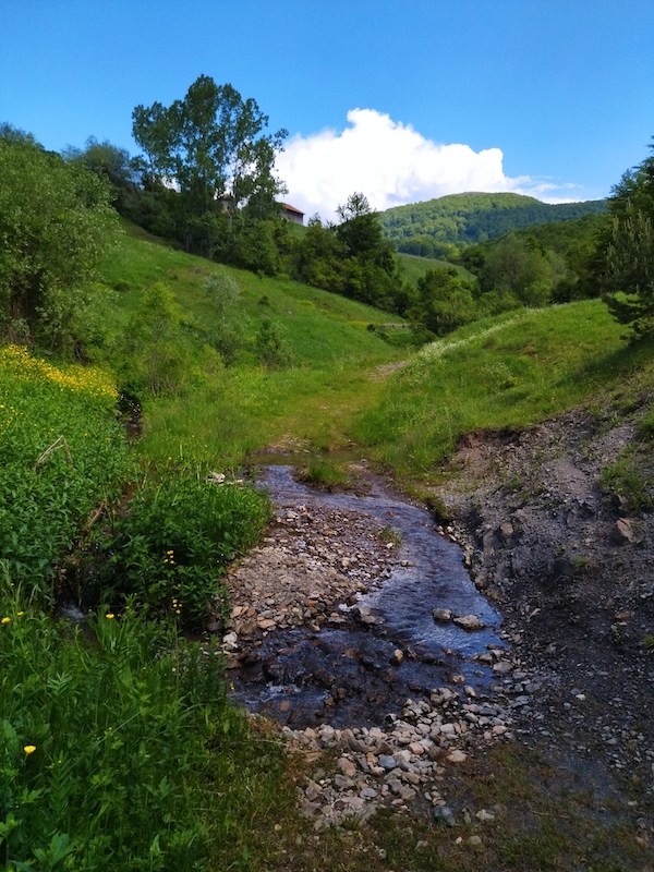 IMG_20210617_150022.jpg