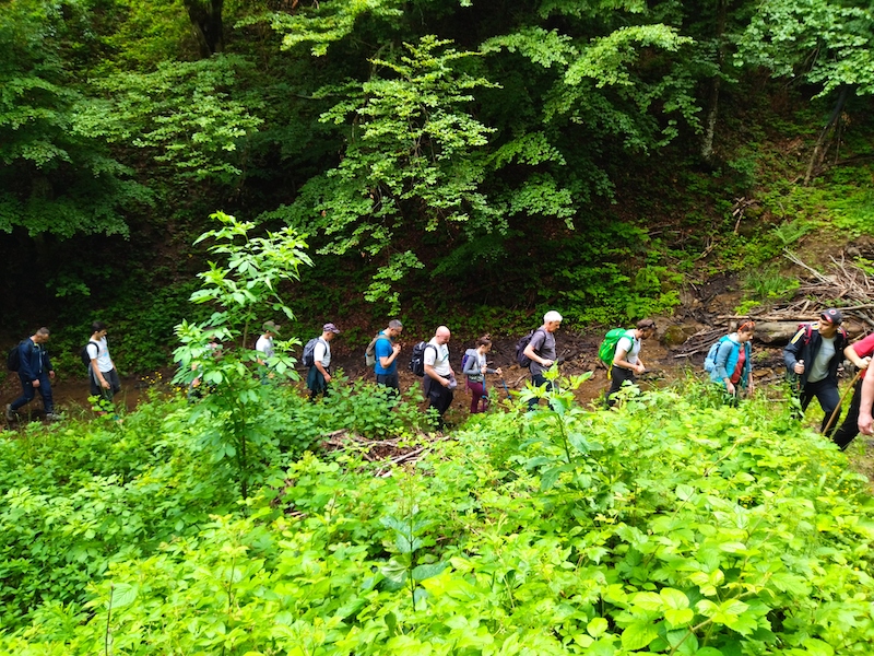 IMG_20210619_094341.jpg