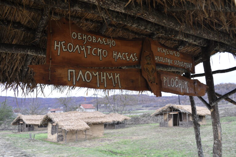 Plocnik-1-768x510.jpg