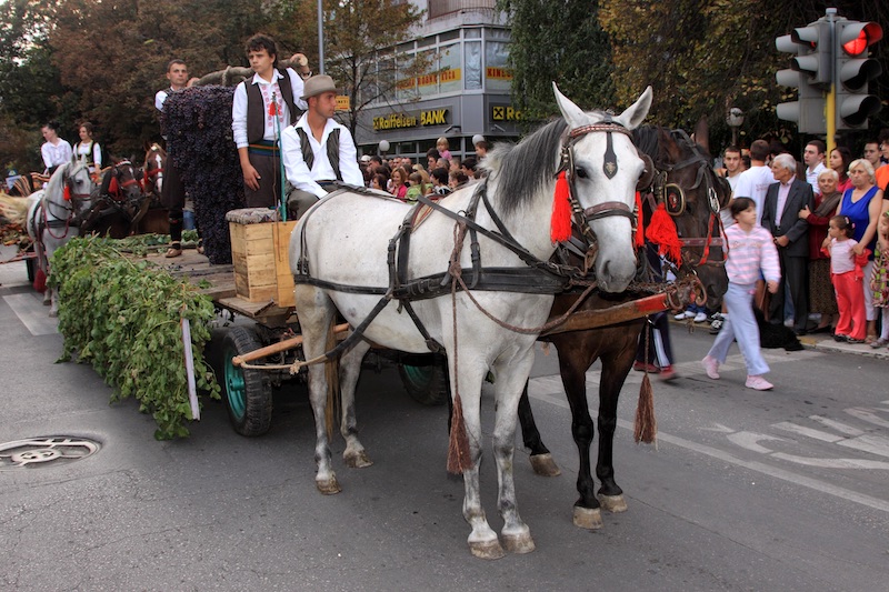 smederevo defile 11 09 09 13.jpg