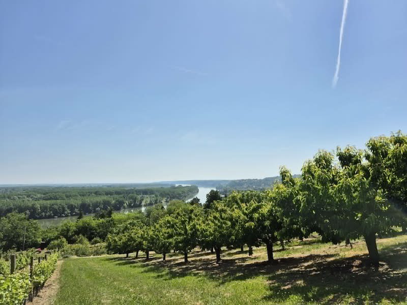 2. Grocka (1).jpg