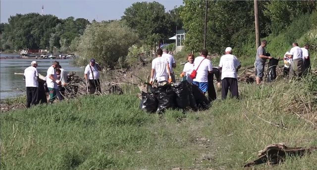 Volonteri čiste obalu Dunava.jpg
