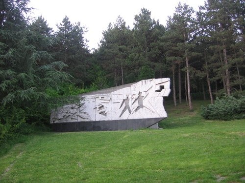 top_0011.jpg