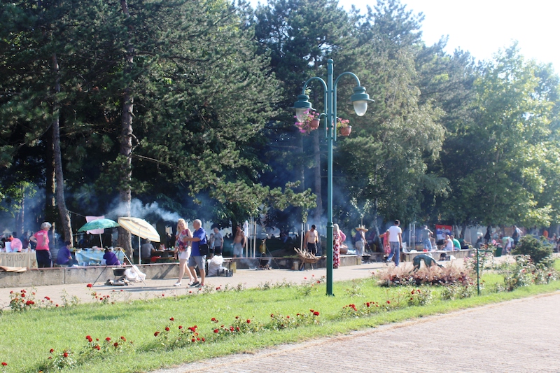 Manifestacije Gradski park.JPG