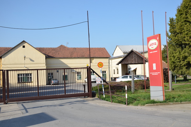 NOVI KNEZEVAC ALEVA.JPG