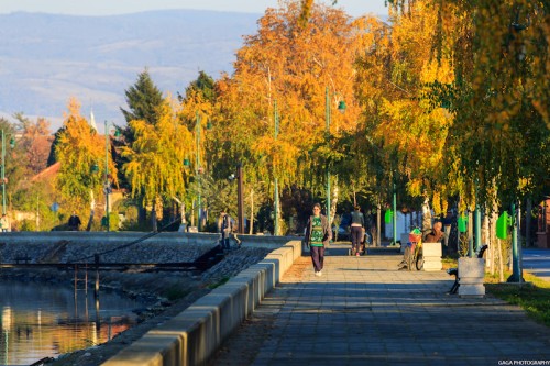 ТУРИСТИЧКА ОРГАНИЗАЦИЈА ВЕЛИКО ГРАДИШТЕ