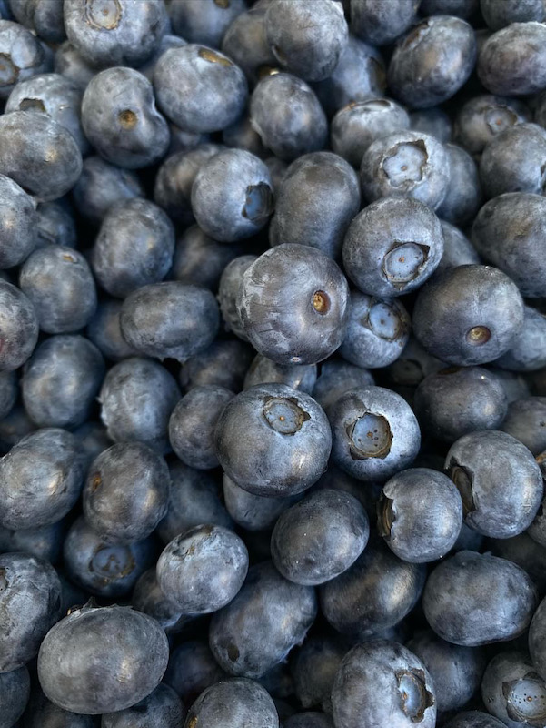 Borovnice 3 - Foto_Eko straza.jpeg