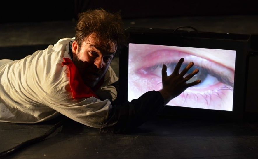 Моно-опера „Дневник једног лудака“