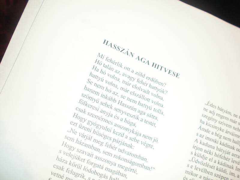 Почеле пробе представе Хасанагиница