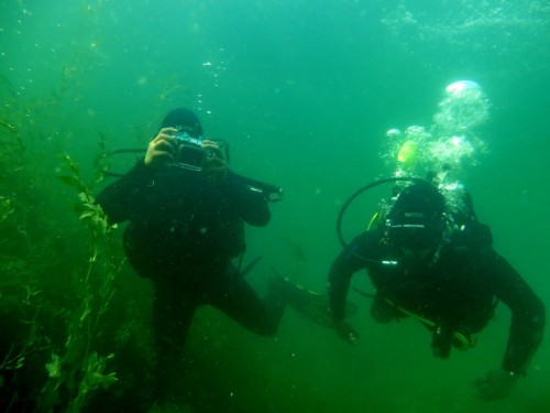 Отворено првенство Војводине у подводној фотографији - Бела Црква