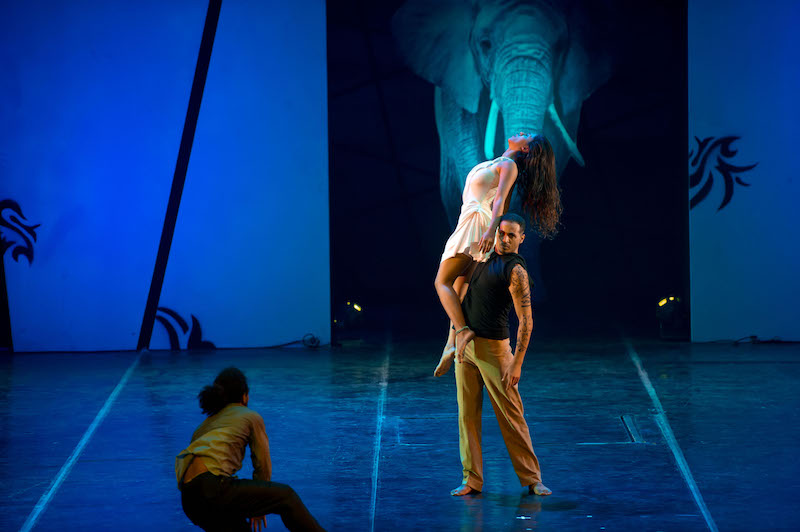 СНП: ЕГИПАТСКА ОПЕРА ИЗ КАИРА са плесном представом   THE BLUE ELEPHANT