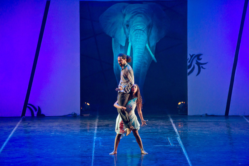 НП: ЕГИПАТСКА ОПЕРА ИЗ КАИРА ГОСТУЈЕ СА ПЛЕСНОМ ПРЕДСТАВОМ „ПЛАВИ СЛОН“