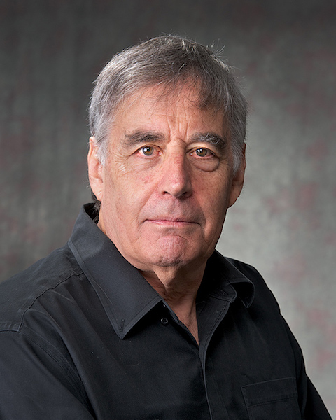 САНУ: Предавање „Улога јавног интелектуалца у дигиталном добу” 