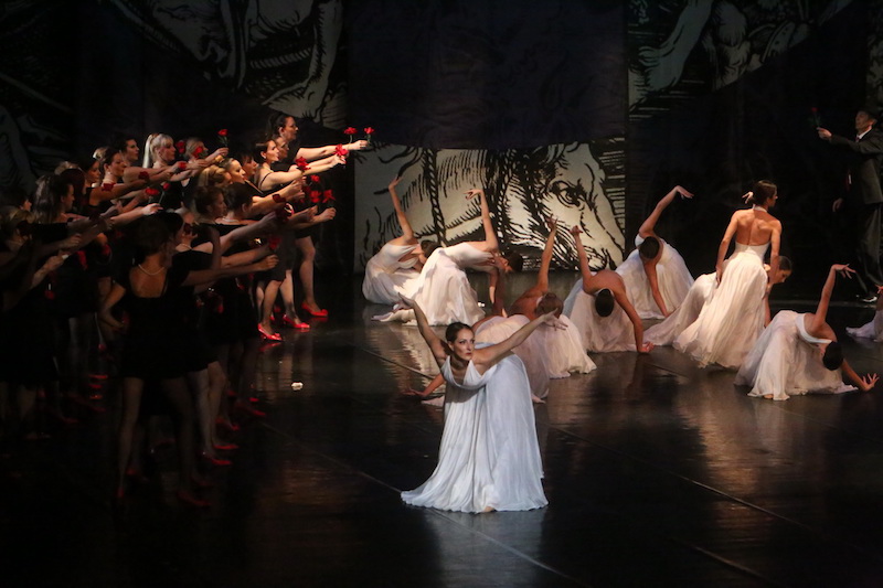 Опера СНП у новембру