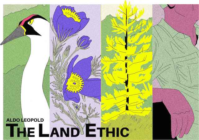 Француска стрип ауторка Alizee de Pin започела уметничку резиденциjу у Панчеву